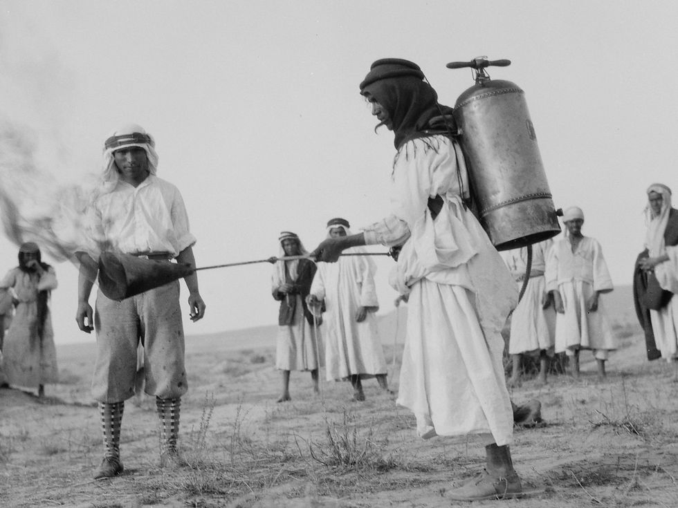 מתכוננים להצית ארבה בפלשתינה-א"י, 1915