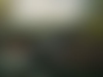 עקבות דגים מאובנות משכתבות את סיפור היציאה מהמים