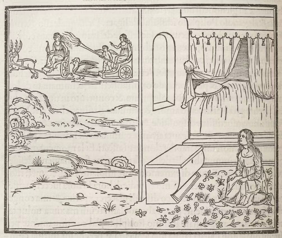 קטע מתוך הנרטיב של פוליה: "אלה זועמת, עטורת זר מענפי שיח הצניעות (agnus castus), קשתה חסרת מיתר ונרתיקה ריק, הפנתה אליי מבט מבעית, בוערת בתשוקה להמיט נקמה אכזרית".