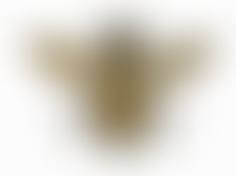 הדבורה הקדושה - חלק א' 