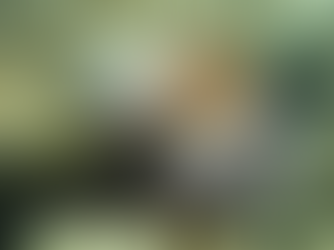 למה תמנונים הם כל כך אינטליגנטים?