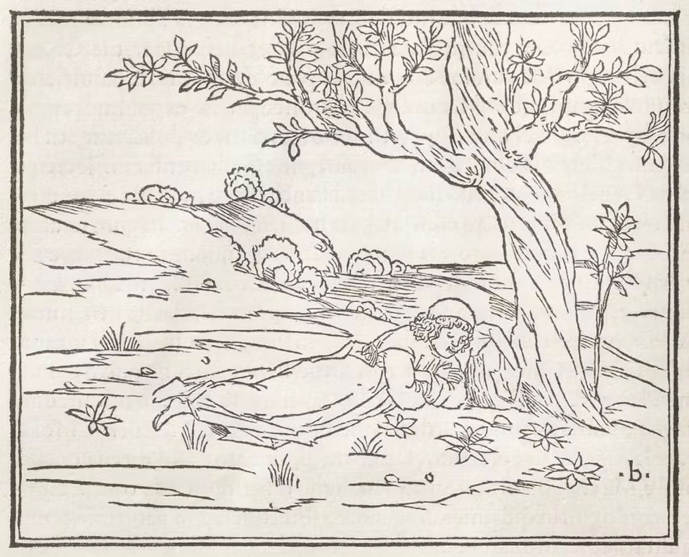 לאחר שנרדם על הספה, פוליפילו מוצא את עצמו במישור רחב ופראי. בחיפוש אחר מחסה, הוא מנמנם שוב - ונכנס לתוך חלום בתוך חלום.