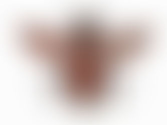 הדבורה הקדושה - חלק ג'