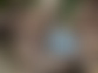 מות הנסיך פיליפ: שבט מתאבל על אובדן אלוהות חיה