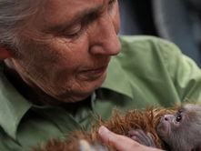 הקול שנאלם ביער: פרידה מג'יין גודול