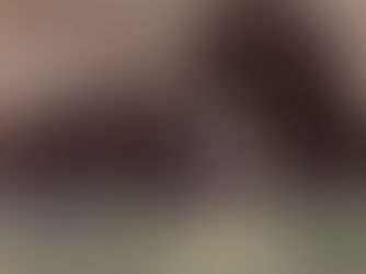 הפתרון המחשמל לתעלומת הרפאים של 'אורות הביצה'