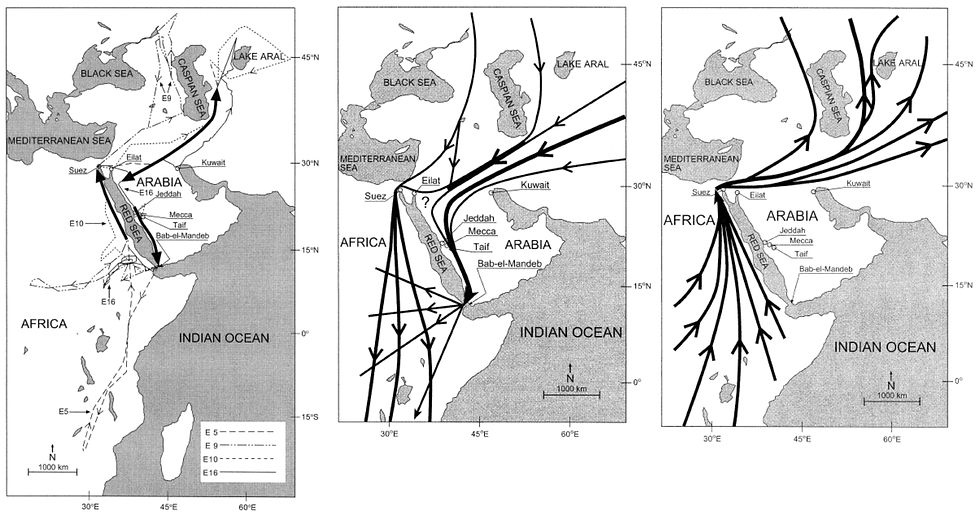מפה משמאל: נתיבי הנדידה של ארבעה עיטי ערבות (E5, 9, 10 ו-16) שעברו מחצי האי ערב לאפריקה דרך מצר באב אל-מנדב בסתיו, וחזרה לערב ולאסיה באביב דרך סואץ, מצרים ואילת, ישראל. כל העיטים שעברו מעקב, שהשתמשו בבאב אל-מנדב כדי להגיע לאפריקה וחזרו לערב ולאסיה הראו דפוס זה של נדידה לולאתית סביב ים סוף. מפה במרכז: מסקנות כלליות לגבי נתיבי נדידת הסתיו של עיט ערבות בין אירואסיה לאפריקה, לא כולל פרטים החורפים בערב. המסקנות מבוססות על הנתונים שלנו מ-16 עיטי ערבות שנעקבו באמצעות לוויינים וממחקרים אחרים. עדיין לא ברור מדוע מספר ניכר של עיטים עושים את דרכם לאפריקה מצפון לים סוף דרך אילת וסואץ (אלא אם כן ישנה הפרדת נדידה באזור המסומן בסימן שאלה). מפה מימין: מסקנות כלליות לגבי נתיבי נדידת אביב של עיטי ערבות בין אפריקה לאירואסיה, לא כולל פרטים החורפים בערב. המסקנות מבוססות על הנתונים מ-16 עיטי ערבות שנעקבו באמצעות לוויינים ומחקרים אחרים / The Condor 105:219–227 The Cooper Ornithological Society 2003