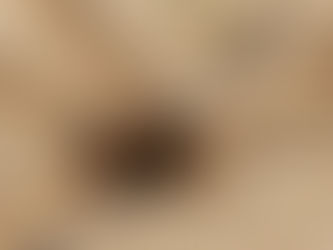 מה נמלים יכולות ללמד אותנו על ניהול פרויקטים, רובוטיקה ויעילות קבוצתית