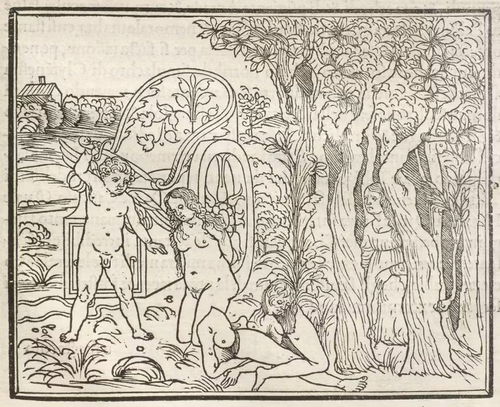 פוליה עדה למחזה מצמרר שבו נערות צעירות מוכות ללא הרף בידי נער מכונף, אשר לאחר מכן רוצח אותן בחרב ברזל - "ללא שמץ של חמלה או רחמים".