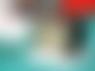 חוקרים שיגרו את חללית העץ הראשונה בעולם