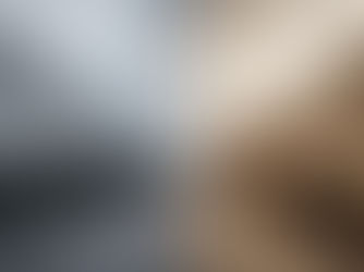 "סופר-ספרטה" או סופר-טעות? ממה נתניהו מתעלם באנלוגיה ההיסטורית שהוא בחר