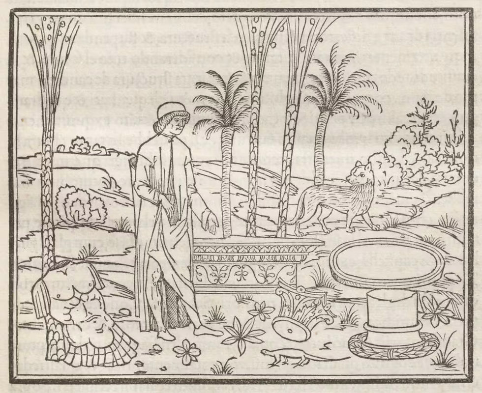 פוליפילו מוקף בשרידיה של העת העתיקה הקלאסית. בין השברים, זאב פראי לוטש אליו מבט.