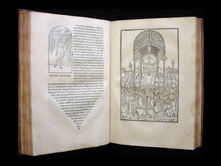 היפנרוטומאכיה פוליפילי וארכיטקטורת החלום