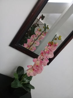 20180720_155756