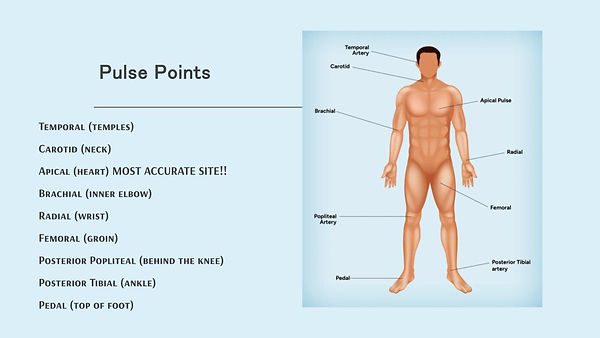 Vital Signs.pptx (3).jpg