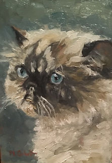 Galo, Patricia Corbett, Oil, 7x5, Sold.j