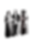 Design sem nome (21).png