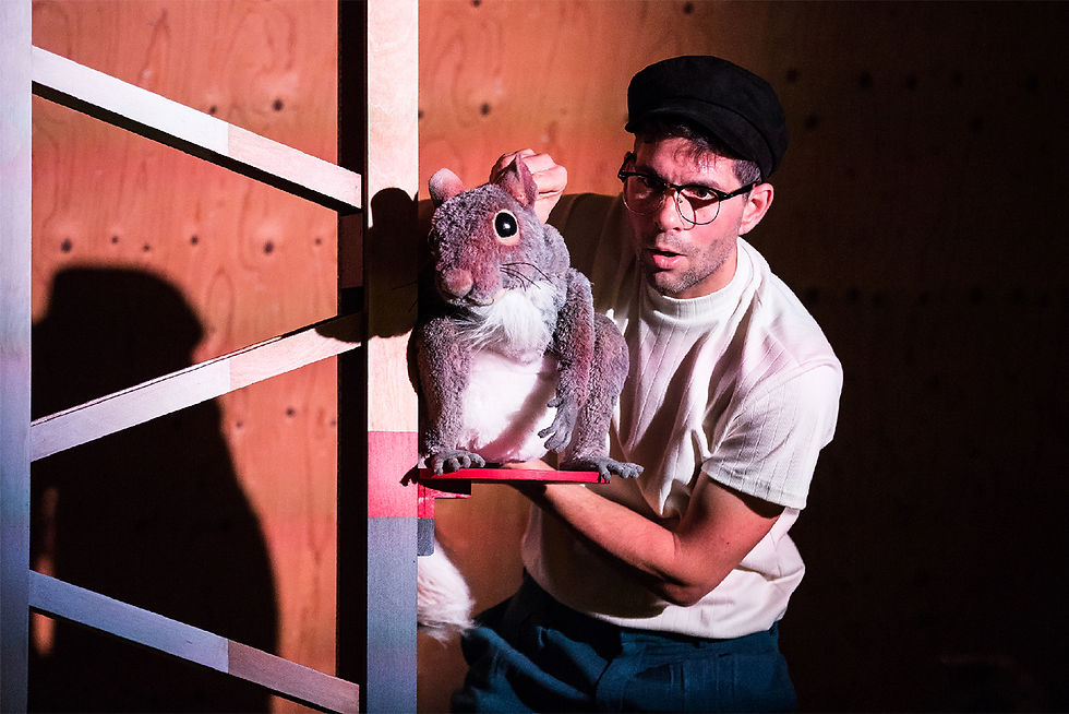 Squirrel / The egg