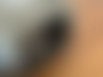 THE CAT 第3章 - 路上から拾い上げられた…次は何をする?