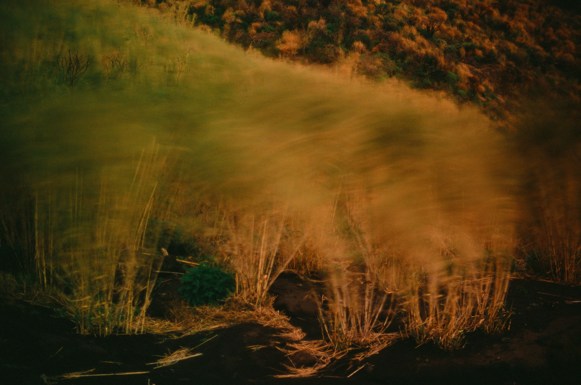 ESSE_180x270 cm_70x106 inch