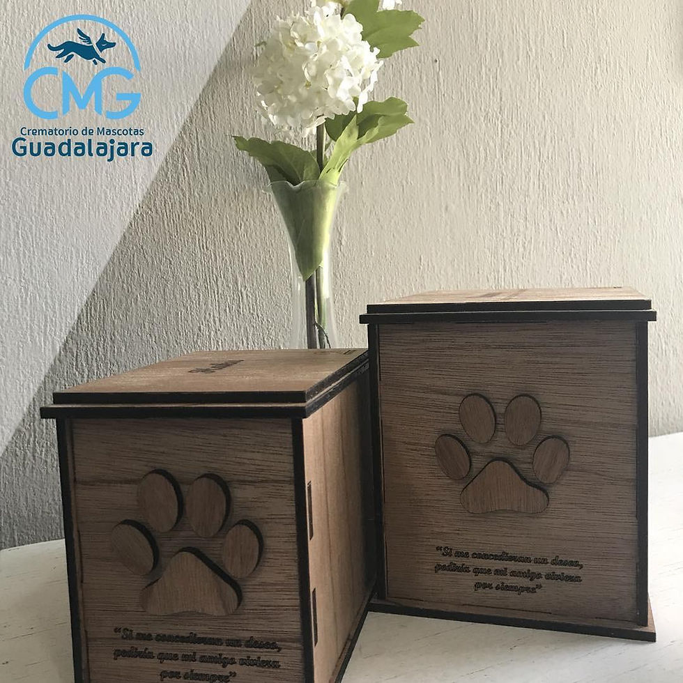 Venta De Urnas Para Mascotas CDMX - Las Huellitas Del Recuerdo