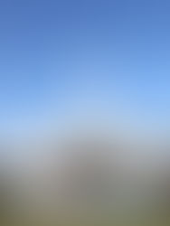 천원궁 천일성전 특별성지순례 & 종교자유를 위한 평화기도회