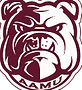 aamu_light.png
