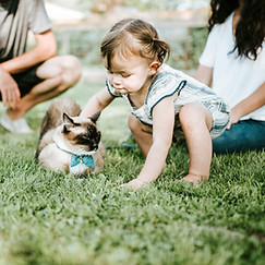 chewy-59TTmbSL1Yw-unsplash.jpg