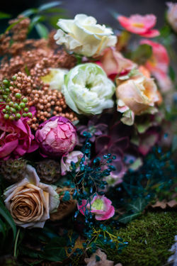 20231022-262A5726-Enhanced-NR