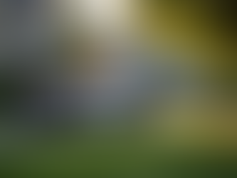 Former Deputy Ryan Kuehner of St. Charles County Sheriff's Department Gives His Perspective on Police Brutality