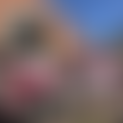 2021 Summer Update