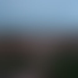 Glimpses of Natural beauty nearby Khajuraho, Madhya Pradesh