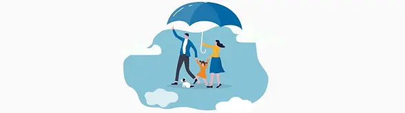 Basic Health Plan.webp