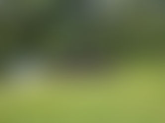 Sommerlager Belgien 2024