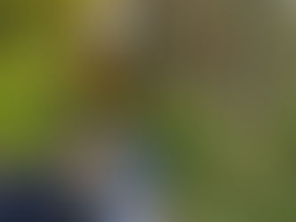 Stammesübergabewochenende 2025