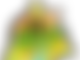 Pfadi - Bundesunternehmen- PfadiBu 2022