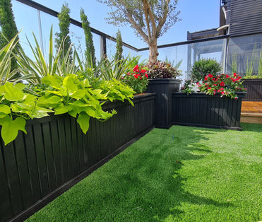 פתח תקוה 3.jpg