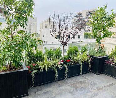 רמת השרון 1.jpg