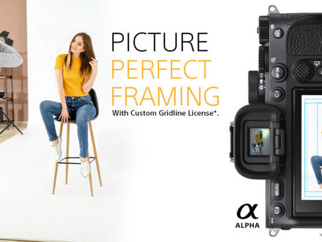 Sony announces custom gridline license for Alpha 7 IV