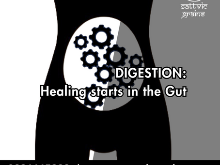 🌿🔥 Ayurveda & Digestive Health – Healing Starts in the Gut