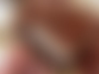 vegan tiramisu brookie brownie and cookie