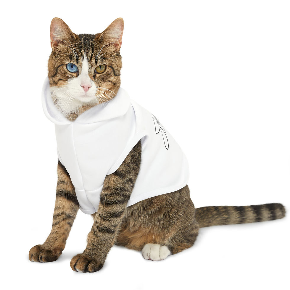Thumbnail: Pet Hoodie