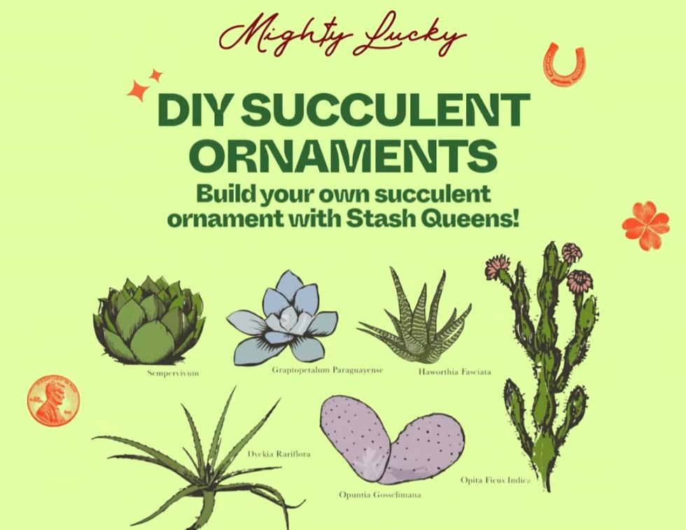 Pop-Up at Mighty Lucky Dispensary