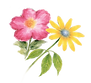 flowers PNG.png