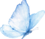 butterfly PNG_edited_edited_edited.png