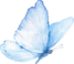 butterfly PNG_edited_edited_edited.png