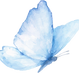 butterfly PNG_edited_edited_edited.png