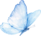 butterfly PNG_edited_edited_edited.png