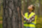 forest inspection and management, renewable resources. female forestry technician checking