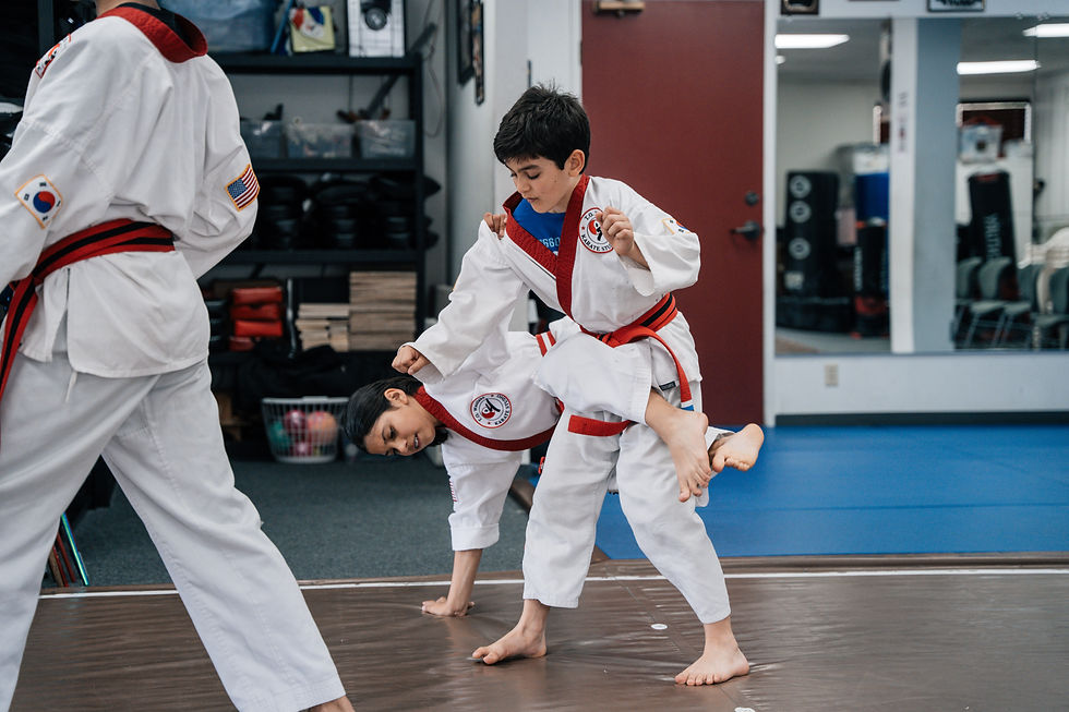 Sweeps, Throws & Takedowns Workshop